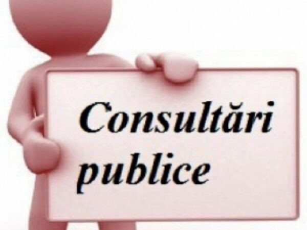 Consultări publice