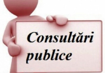 Consultări publice